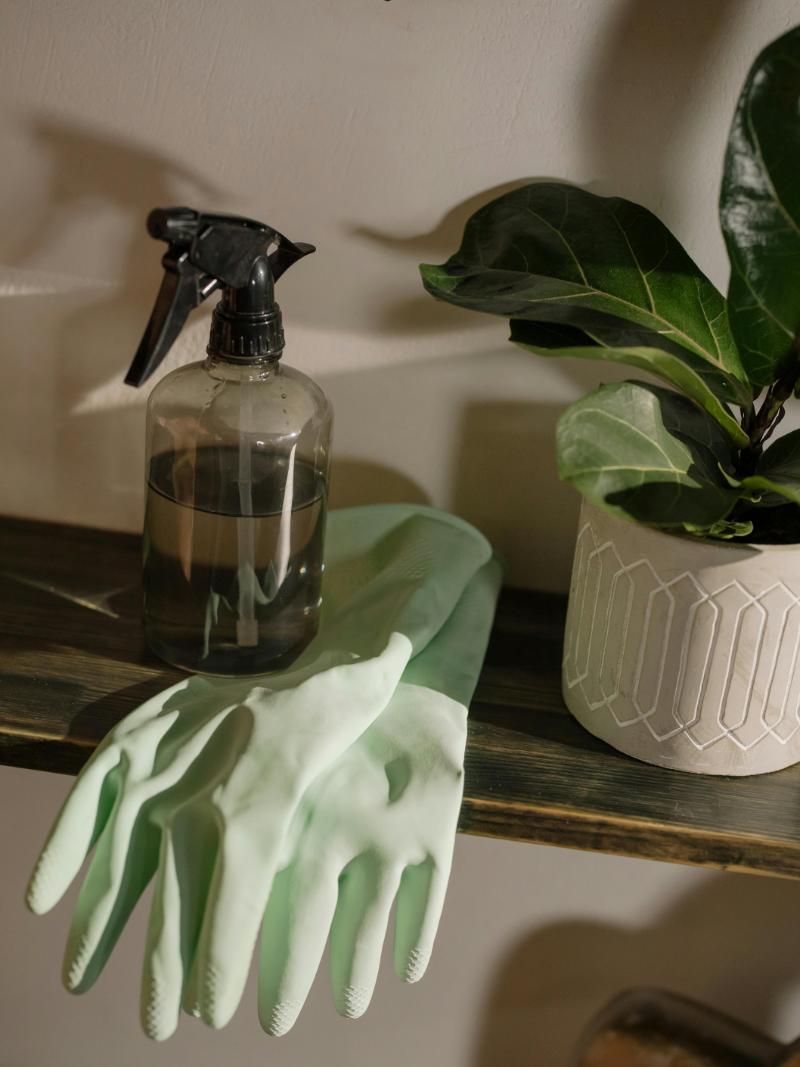 Get Your Home Holiday-Ready with Berta Cleans in Aventura, FL